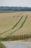 IMG_0407