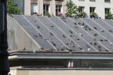 IMG_0294