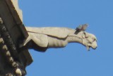 IMG_0301