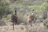 IMG_5973