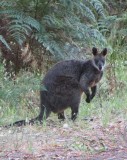 IMG_6457