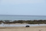 IMG_0061
