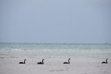 IMG_0155