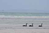 IMG_0157