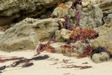IMG_0114