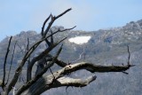 IMG_0469