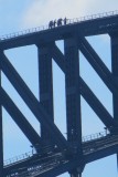 IMG_0547