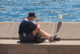 IMG_0558