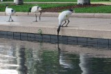 IMG_0608