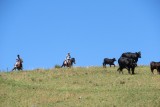 IMG_1132