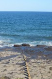 IMG_1289