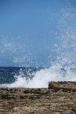 IMG_1333