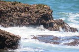 IMG_1355