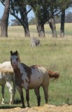 IMG_1480