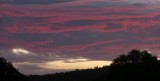 IMG_1518