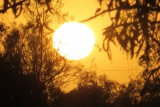 IMG_1672