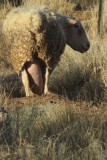 IMG_1841