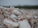 IMG_2950