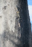 IMG_3388
