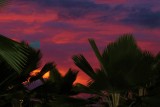 IMG_3925