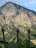 IMG_5644