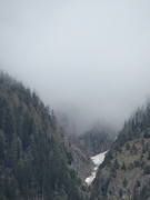 IMG_6884