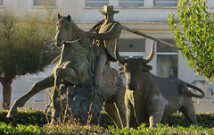 IMG_8084