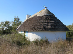 IMG_8094