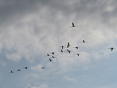 IMG_7986