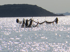 IMG_8001