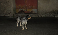 IMG_8057