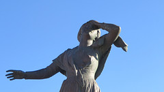 IMG_8156