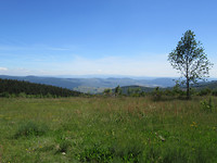 IMG_0975