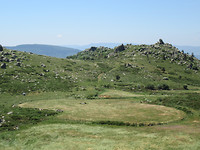 IMG_0981