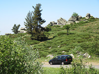 IMG_0983