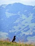 IMG_1211