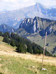 IMG_1220