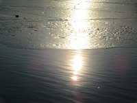 IMG_1720