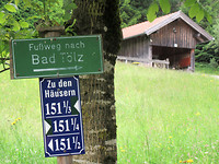 IMG_1801