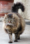 IMG_1972