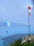 IMG_1981