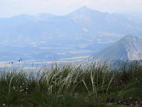 IMG_2519