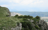 IMG_2520