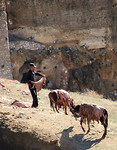 IMG_2742