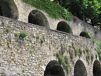 IMG_0079