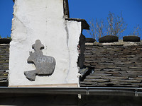 IMG_0431