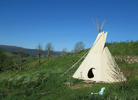 IMG_0444 (2)