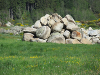 IMG_0476