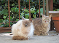 IMG_0560 (2)
