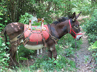 IMG_0580 (2)